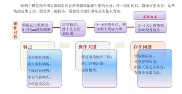 首屆花生生態峰會盛大召開，全方位解讀物業管理及配套服務新生態